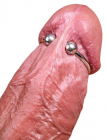 Металлическое кольцо для головки члена, Ø 4 см